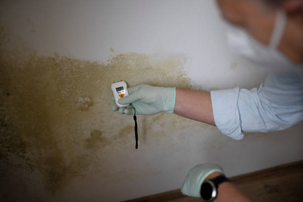 Best Toxic Mold Removal  in Mobile, AL