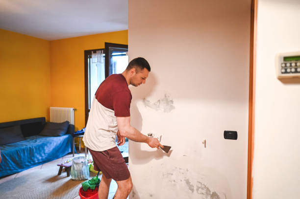 Best Water Damage Restoration  in Mobile, AL