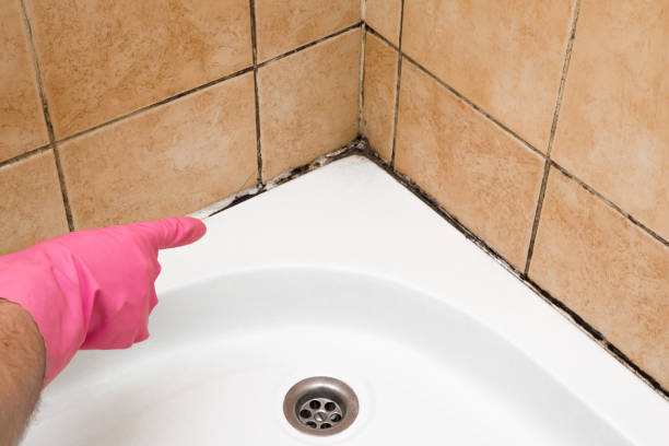 Best Toxic Mold Removal  in Mobile, AL